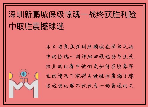 深圳新鹏城保级惊魂一战终获胜利险中取胜震撼球迷